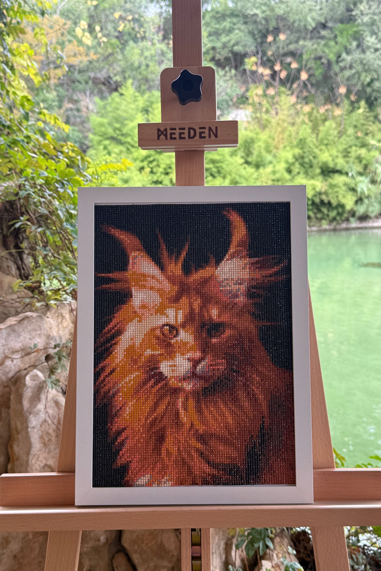 Fiery Maine Coon – Diamond Painting Cat Art”