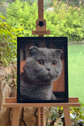 Amber-Eyed British Cat – Diamond Painting Art
